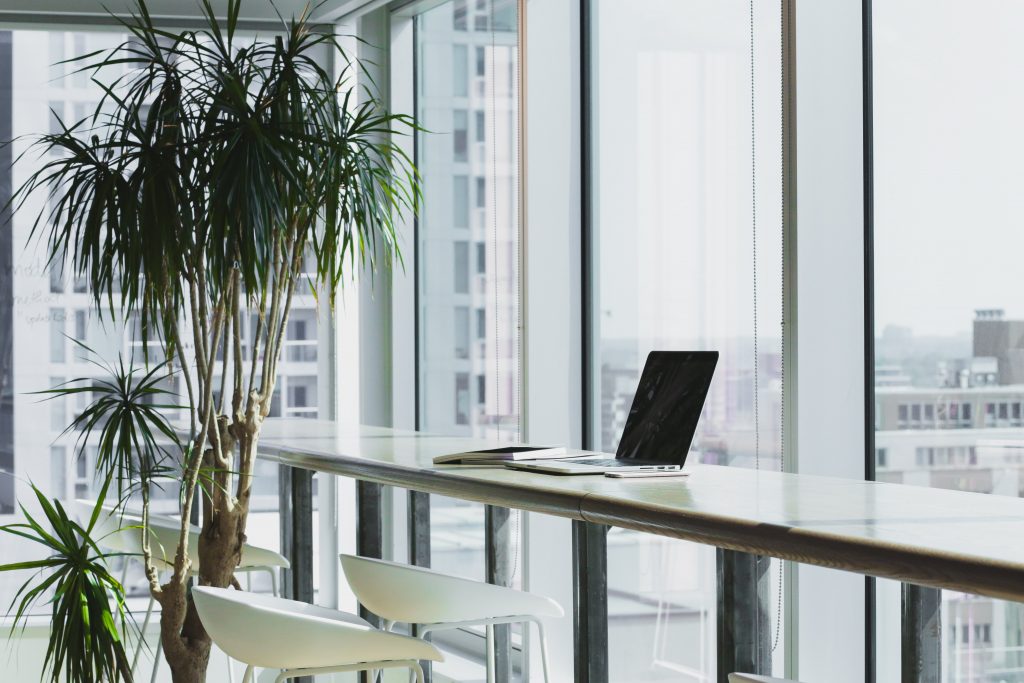 office_plants