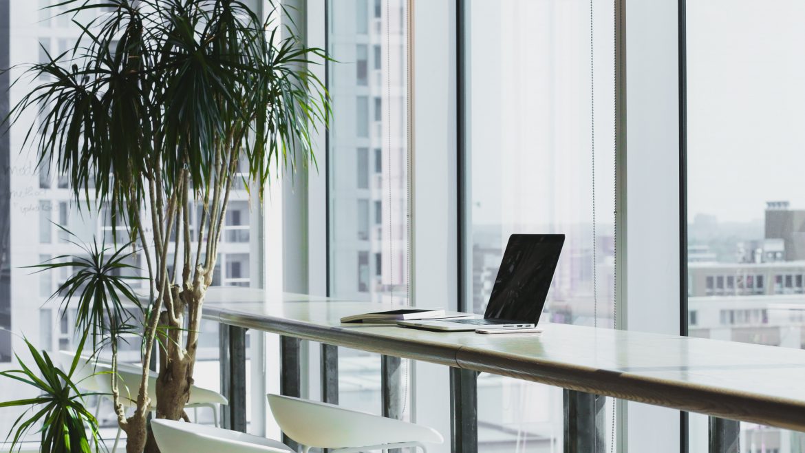 office_plants